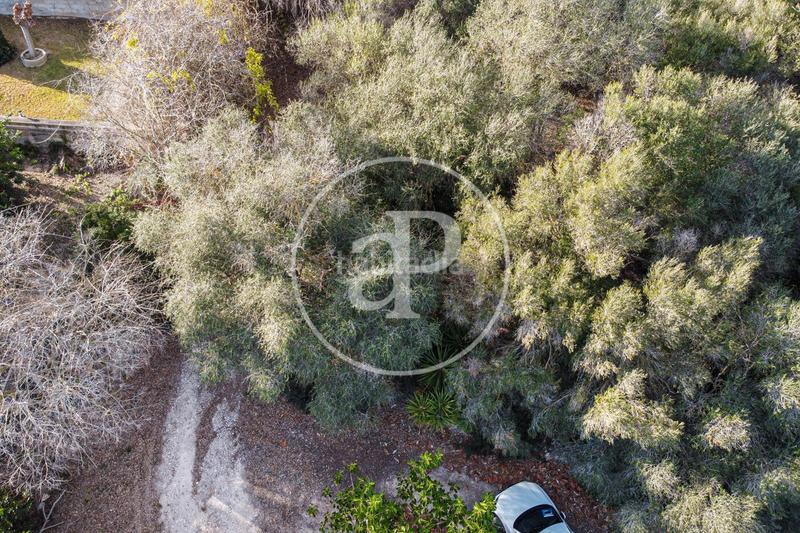 Foto 6ba8dd05-5630-4406-8b11-9d0c106ff9ec. Wohngrundstück in Santa Margalida poble Santa Margalida