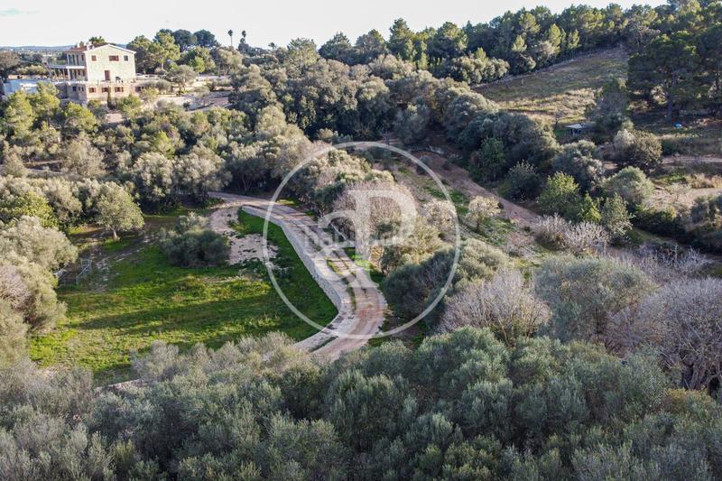 Foto 891d63c1-99e9-40fb-9e2f-36d70eafac29. Wohngrundstück in Santa Margalida poble Santa Margalida