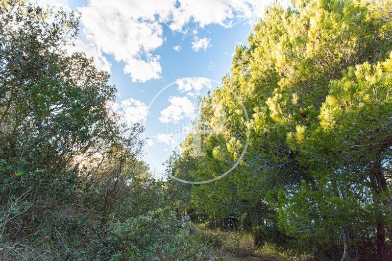 Foto c1251185-dbe9-4311-be37-a8b8f4a1434e. Wohngrundstück in Santa Margalida poble Santa Margalida