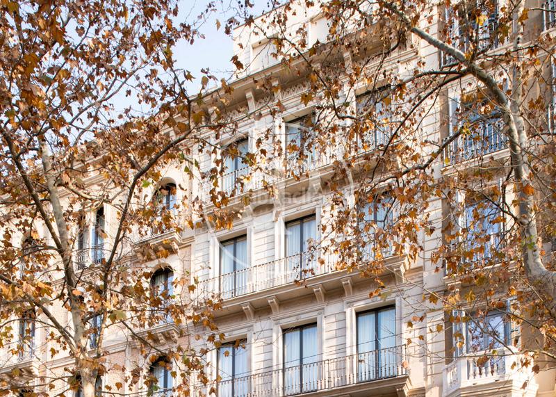 Foto 9a15540d-f3b6-4394-8148-afc3d82dc4fc. Rent house with pool in Dreta de l´Eixample Barcelona