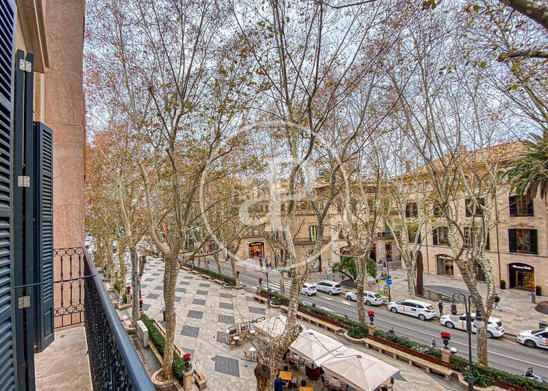 Foto 75d42ba1-670f-4e9f-a9bb-4ac18521a026. Appartamento con riscaldamento in Sant Nicolau Palma de Mallorca