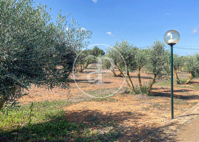 Foto 59ff3447-60da-4836-b2f8-ee1006e482d5. Lloguer casa amb calefacció aparcament piscina a Llucmajor