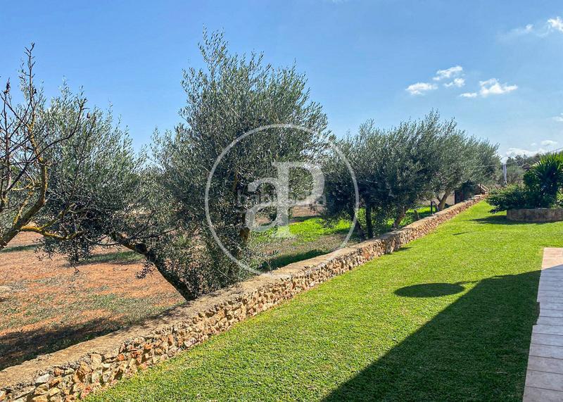 Foto f6224213-b1df-4a75-959c-83548c730365. Rent house with heating parking pool in Llucmajor interior Llucmajor