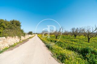 Residential Plot in Porreres
