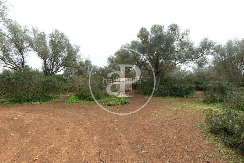 Foto 0aa5247e-05ac-4705-b4a1-f72a4e6accad. Terreny residencial a Felanitx poble Felanitx