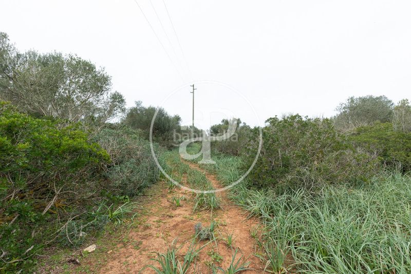 Foto 170d9ce2-9078-4e19-844c-cf7ad922d18f. Terreny residencial a Felanitx poble Felanitx