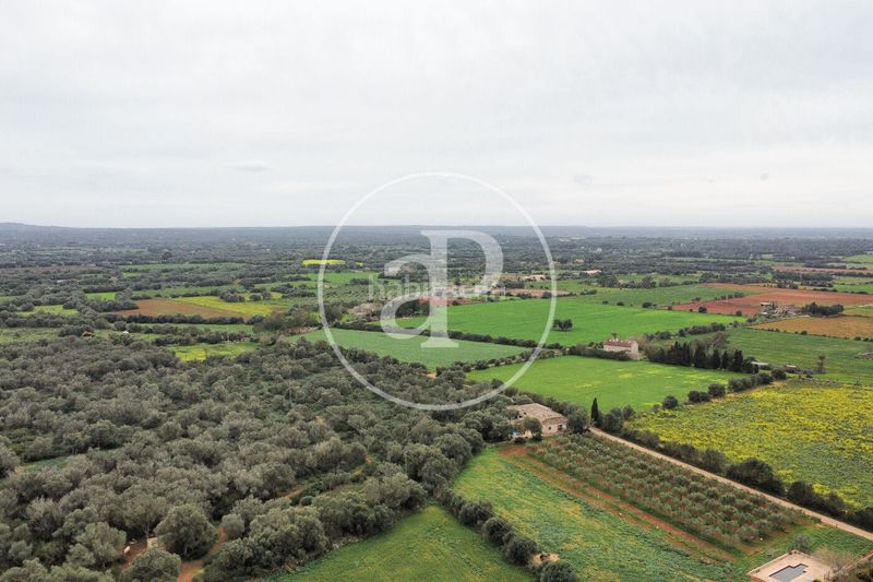 Foto 7ff65f7d-febd-4557-b15a-c888b93b5021. Terreny residencial a Felanitx poble Felanitx