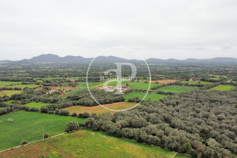 Foto dc4aef0d-ca5b-4faa-880a-d99ab928cfad. Terreny residencial a Felanitx poble Felanitx