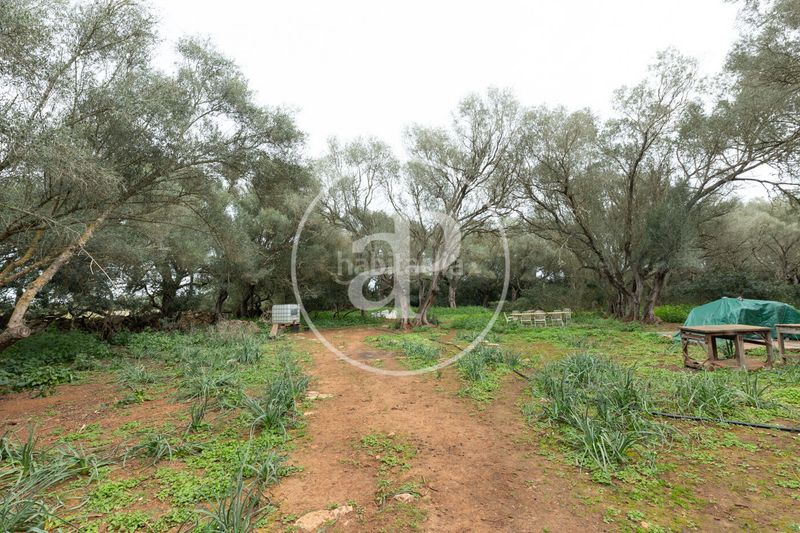 Foto e316283b-85a6-4fba-8cc6-dd7c2fbb3e66. Terreny residencial a Felanitx poble Felanitx