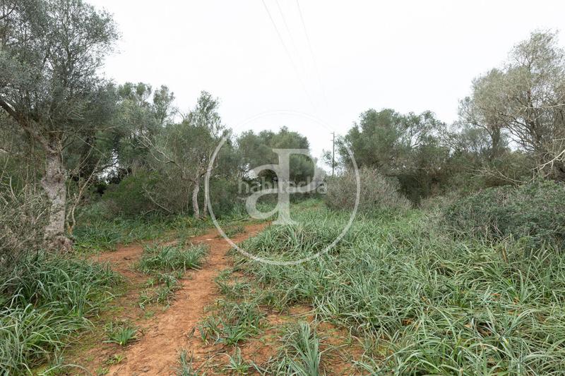 Foto 90c6aa1f-3e1f-46a0-885c-1cfa1ac4baf2. Terreno residencial en Felanitx poble Felanitx