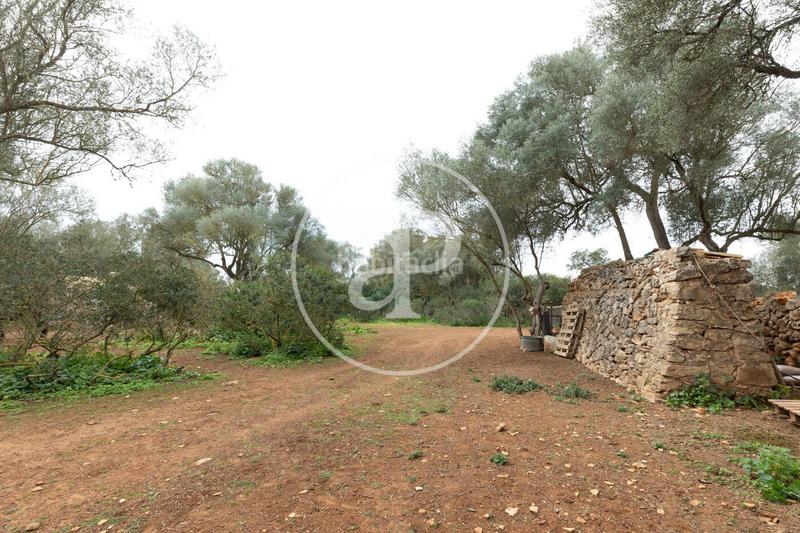 Foto 39370008-9b54-45df-9d44-ef02b109d4fe. Terrain résidentiel dans Felanitx poble Felanitx