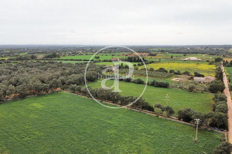 Foto 53685bf7-07cf-4977-8dcf-78d51666ca61. Terrain résidentiel dans Felanitx poble Felanitx