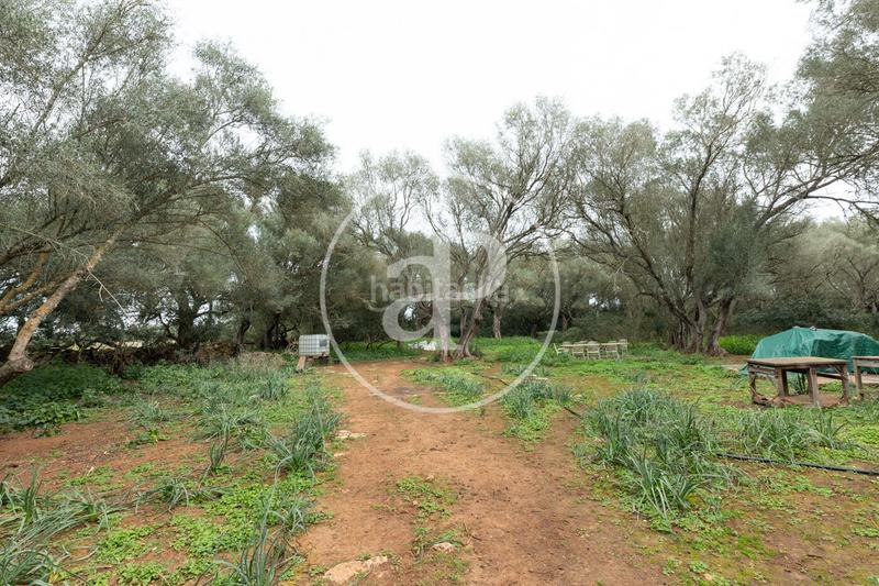 Foto e316283b-85a6-4fba-8cc6-dd7c2fbb3e66. Terrain résidentiel dans Felanitx poble Felanitx