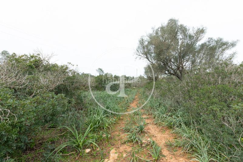 Foto e3eb8879-8afe-4a5f-a5b7-3f131bb36f15. Terrain résidentiel dans Felanitx poble Felanitx