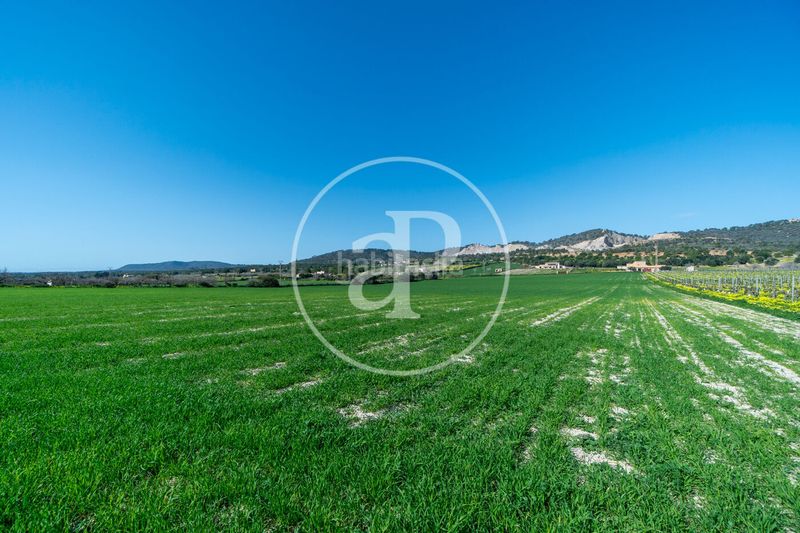 Foto 0388760d-bc93-4782-9788-5477237192f4. Terreny residencial a Porreres