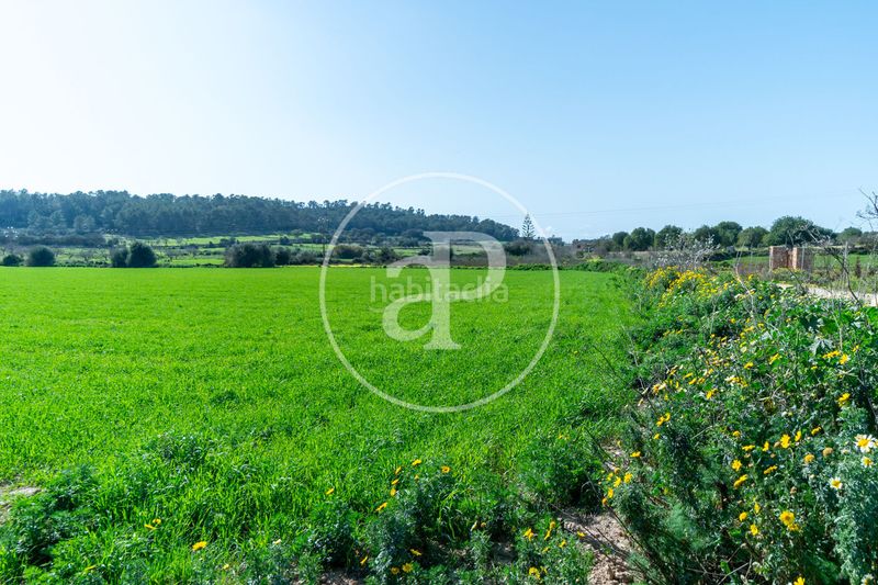 Foto 1c278c3d-a527-4404-b443-ebfe71dacf00. Terreny residencial a Porreres