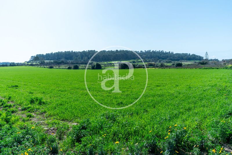 Foto 50b66aa1-8d48-4a7f-9284-c7d09f3f6c39. Terreny residencial a Porreres