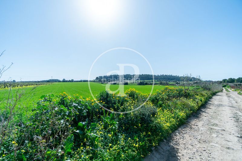Foto 5d989a59-3d89-4bb0-9c8c-9dbbdc680203. Terreny residencial a Porreres