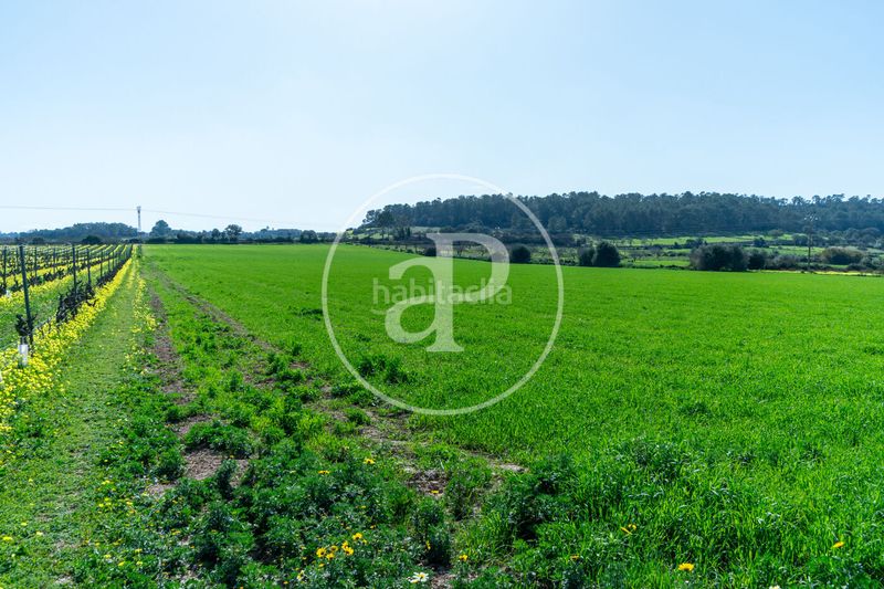 Foto e3d3b607-163d-4732-a8c4-20f7139f3248. Terreny residencial a Porreres