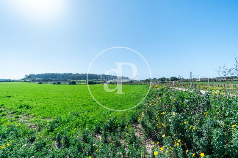 Foto f3ef9187-f8be-485e-a5d3-2220882ea72b. Terreny residencial a Porreres