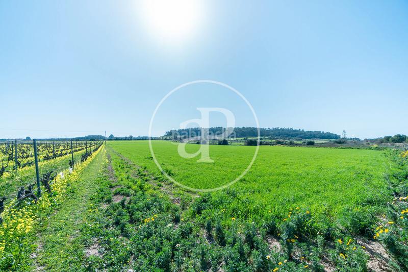 Foto 4f4cef67-9147-4c57-869d-4a62bc5a369c. Terreny residencial a Porreres