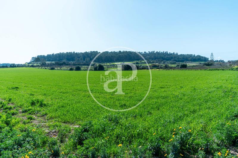 Foto 50b66aa1-8d48-4a7f-9284-c7d09f3f6c39. Terreny residencial a Porreres