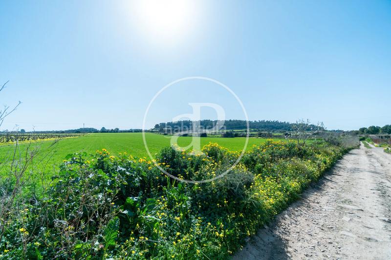 Foto 5d989a59-3d89-4bb0-9c8c-9dbbdc680203. Terreny residencial a Porreres