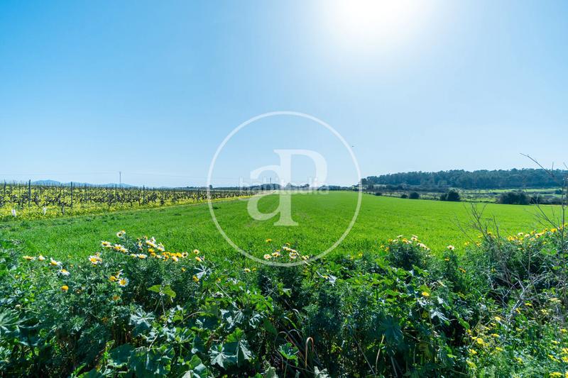 Foto 63e96df1-b087-4b46-93e4-af56df0fd66a. Terreny residencial a Porreres