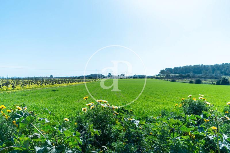 Foto 71f48a30-4b15-4974-a8cf-15c4ca110fb7. Terreny residencial a Porreres