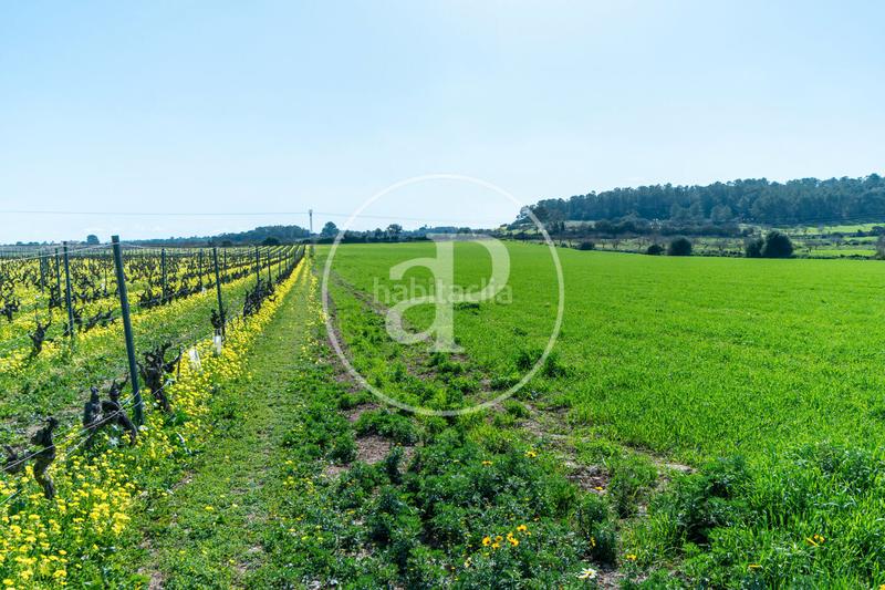 Foto c377c98a-71c3-4303-8a71-69847d5645d7. Terreny residencial a Porreres