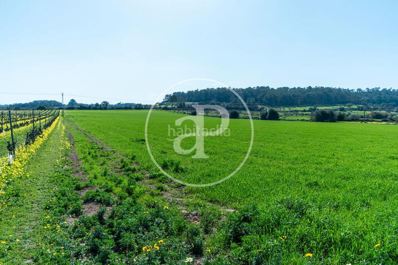 Foto e3d3b607-163d-4732-a8c4-20f7139f3248. Terreny residencial a Porreres