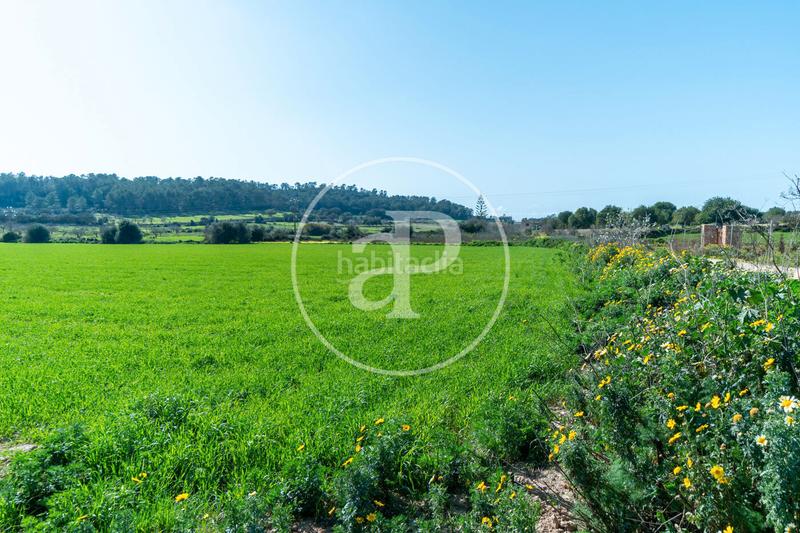 Foto 1c278c3d-a527-4404-b443-ebfe71dacf00. Terrain résidentiel dans Porreres