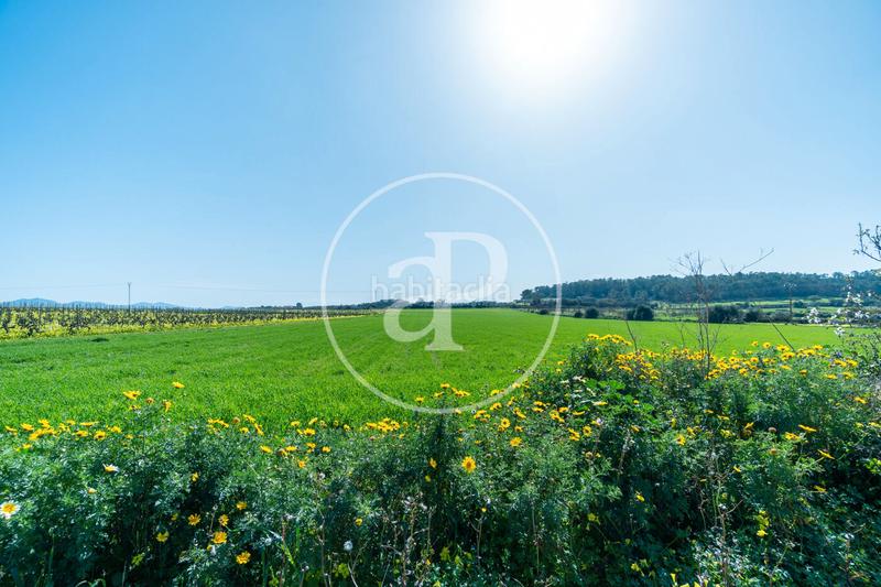 Foto 470a8b55-8128-46a3-adfd-77a53a2b3291. Terrain résidentiel dans Porreres