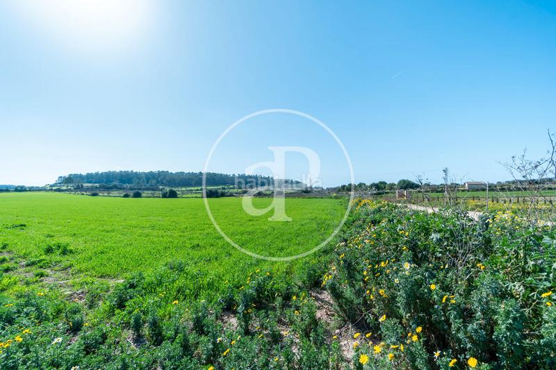 Foto f3ef9187-f8be-485e-a5d3-2220882ea72b. Terrain résidentiel dans Porreres