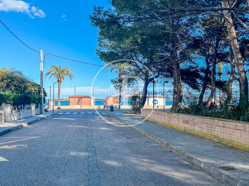 Foto 520784f5-c88d-446c-8a1c-d09b8db7bd1b. Alquiler piso  en alquiler en puerto pollensa en Pollença