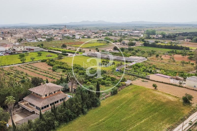 Foto abe60027-8c5c-40f3-a9bb-827c2053ec90. Casa con riscaldamento parcheggio piscina in Vilafranca de Bonany