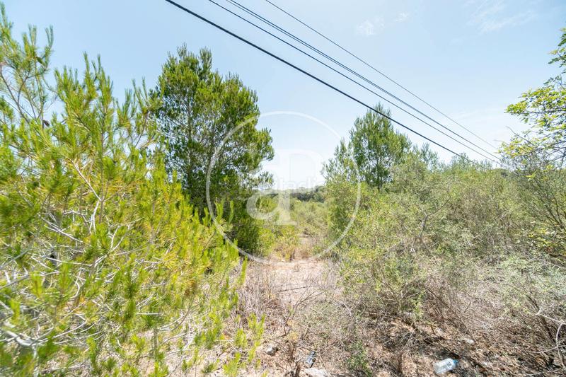 Foto 334b7471-2b78-473e-a917-bb853d116bf9. Terreno residencial en S´Horta - Cas Concos des Cavaller - Es Carritxó Felanitx