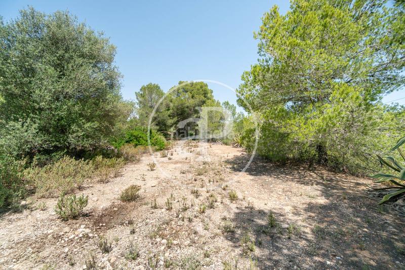 Foto 5d0d4898-6681-4e92-a9e1-c84e360fb185. Terreno residencial en S´Horta - Cas Concos des Cavaller - Es Carritxó Felanitx