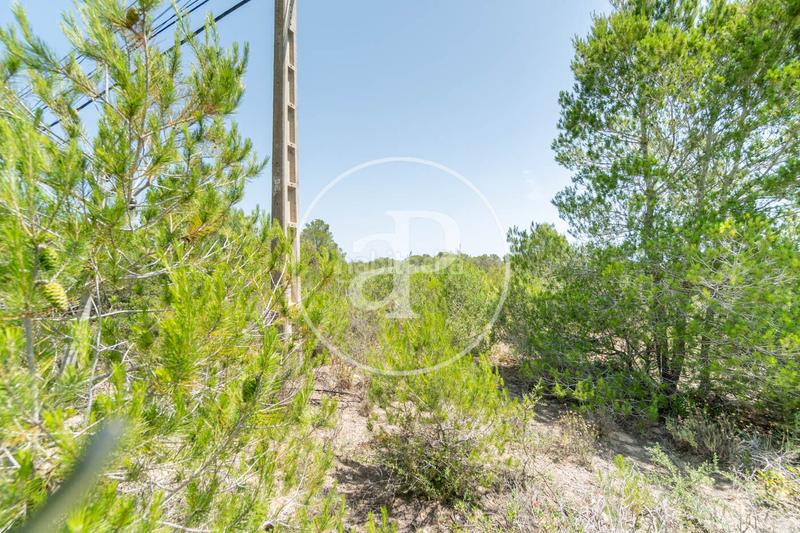 Foto 7c9bca74-cb30-4b2b-9034-99a657568763. Residential plot in S´Horta - Cas Concos des Cavaller - Es Carritxó Felanitx