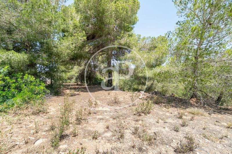 Foto c4d84490-168d-497c-8cee-d88b203b2349. Residential plot in S´Horta - Cas Concos des Cavaller - Es Carritxó Felanitx