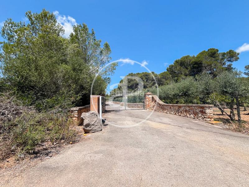 Foto 682fd89f-84b7-4521-bb86-f737e40daac9. Terreno residenziale in S´Horta - Cas Concos des Cavaller - Es Carritxó Felanitx