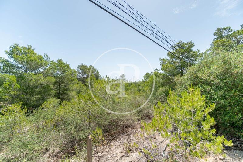 Foto b117f700-fbf8-461f-9cec-dc7a2dec165e. Terreno residenziale in S´Horta - Cas Concos des Cavaller - Es Carritxó Felanitx