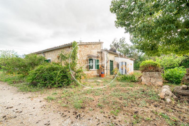 Foto 8d220bee-9627-47a3-8d4f-937e3f65d85b. Alquiler casa  en alquiler en Algaida