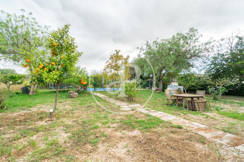 Foto ec9b0b9d-d028-41e8-a5c4-f4ded244b3a2. Alquiler casa  en alquiler en Algaida