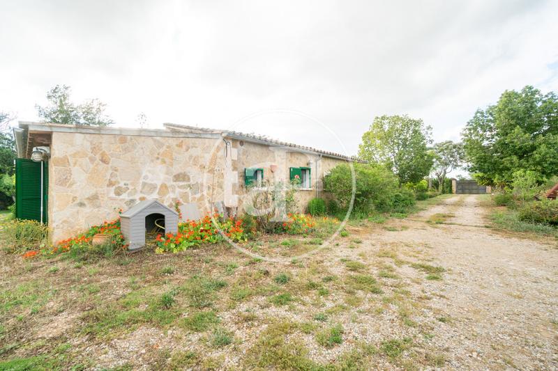 Foto 9443995a-8ff9-45e5-97a6-690816197222. Lloguer casa amb calefacció aparcament piscina a Algaida