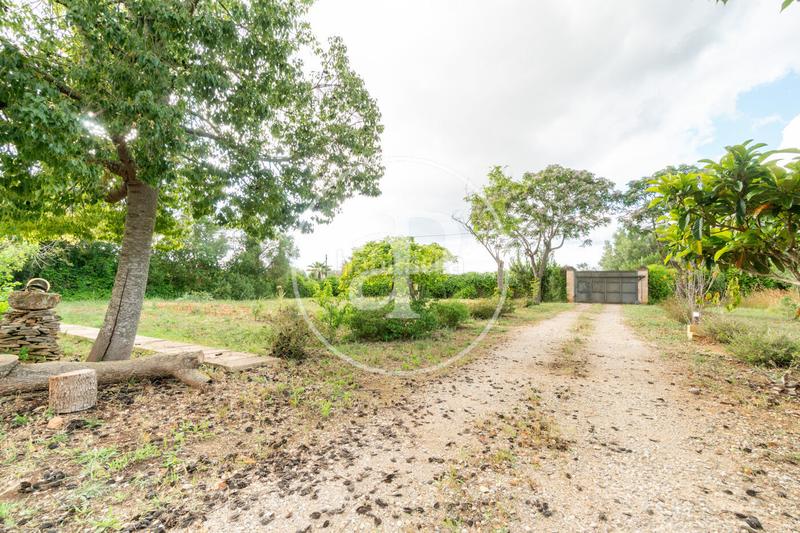 Foto 9e84efca-d0bc-4baa-a8ba-3deb6e47c550. Lloguer casa amb calefacció aparcament piscina a Algaida