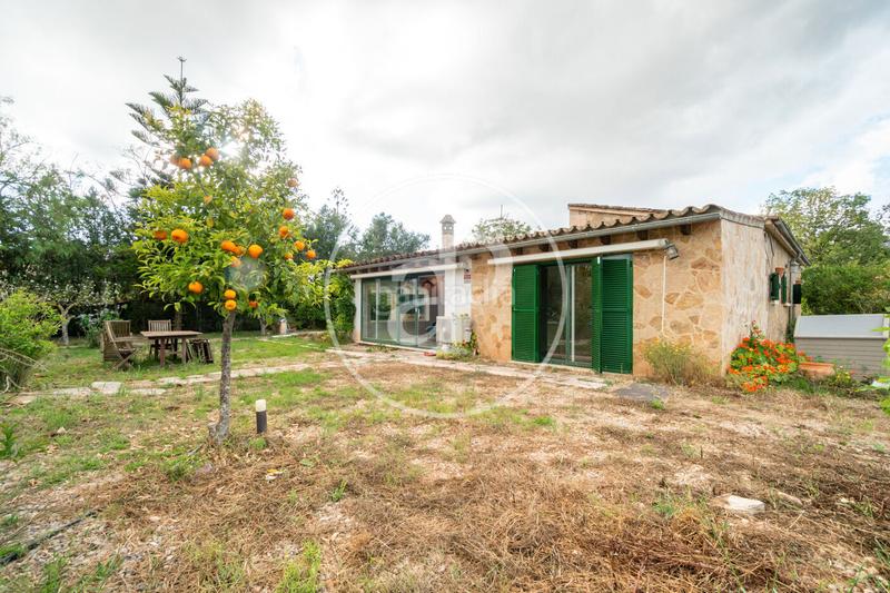 Foto 6fbb8154-6a85-44e3-b0eb-52c6d0b8d107. Location maison avec chauffage parking piscine dans Algaida