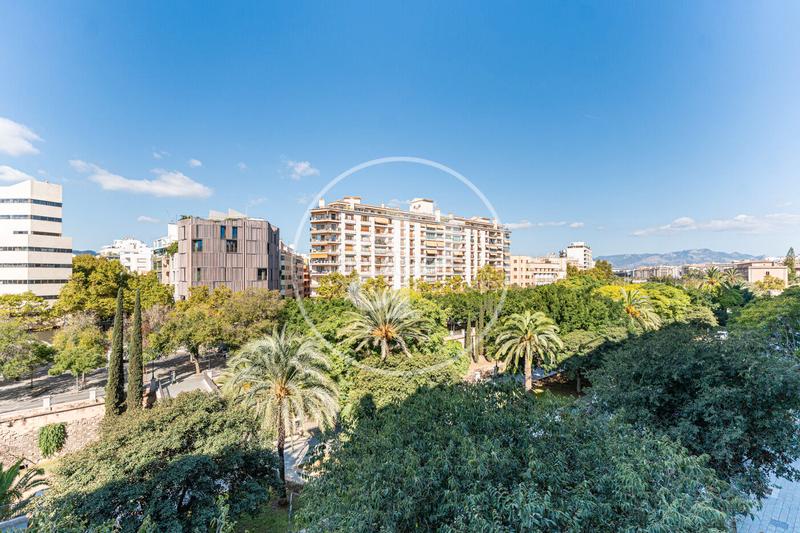 Foto a6b544a5-e776-4d4c-be77-df5eb8a80d09. Location appartement avec chauffage parking dans Jaume III Palma de Mallorca