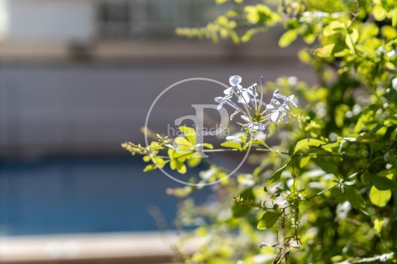 Foto d5c07680-ab6c-403e-b51e-bc60aa96ff5d. Flat with heating parking pool in Son Armadams Palma de Mallorca