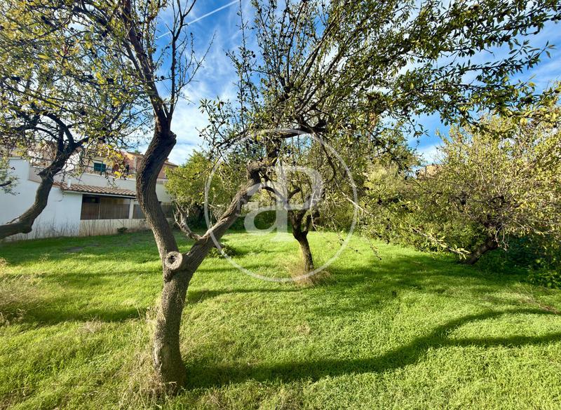 Foto 6206d975-3569-456a-b05f-55a06383b6c4. Terreno residencial en Calvià poble Calvià